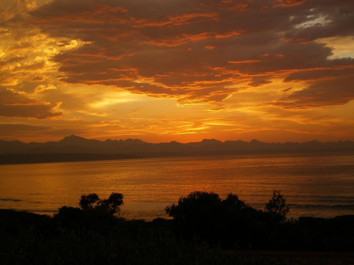Dolphins' Playground Beachfront B&B Plettenberg Bay Exteriér fotografie